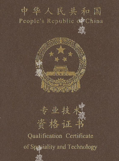 專業(yè)技術資格證書示例圖 專業(yè)技術資格證書示例圖