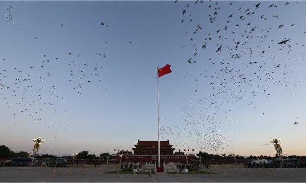 和平的白鴿在北京天安門上展翅飛翔.jpg 和平的白鴿在北京天安門上展翅飛翔.jpg