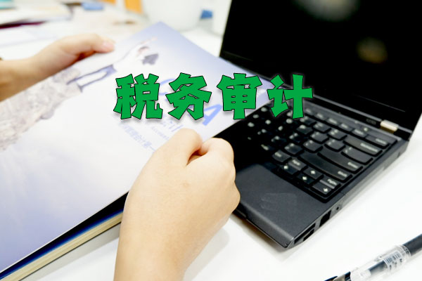 稅務(wù)審計(jì)示意圖.jpg 稅務(wù)審計(jì)示意圖.jpg