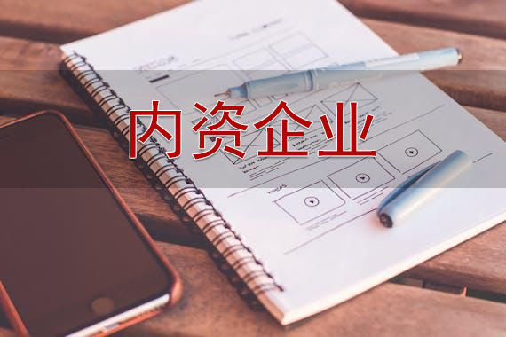 內(nèi)資企業(yè)