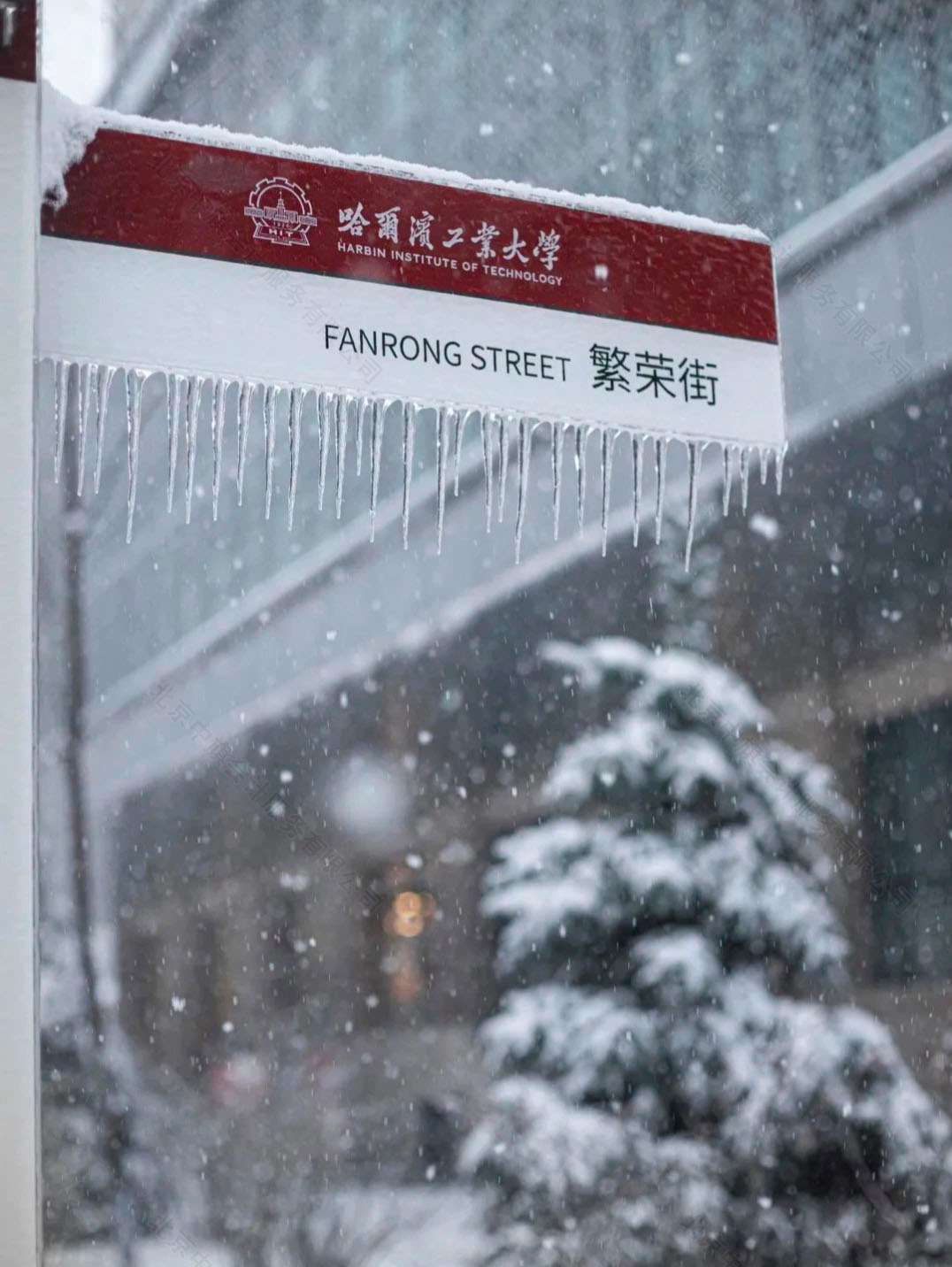 哈爾濱工業(yè)大學漂亮吧.jpg 哈爾濱工業(yè)大學漂亮吧.jpg