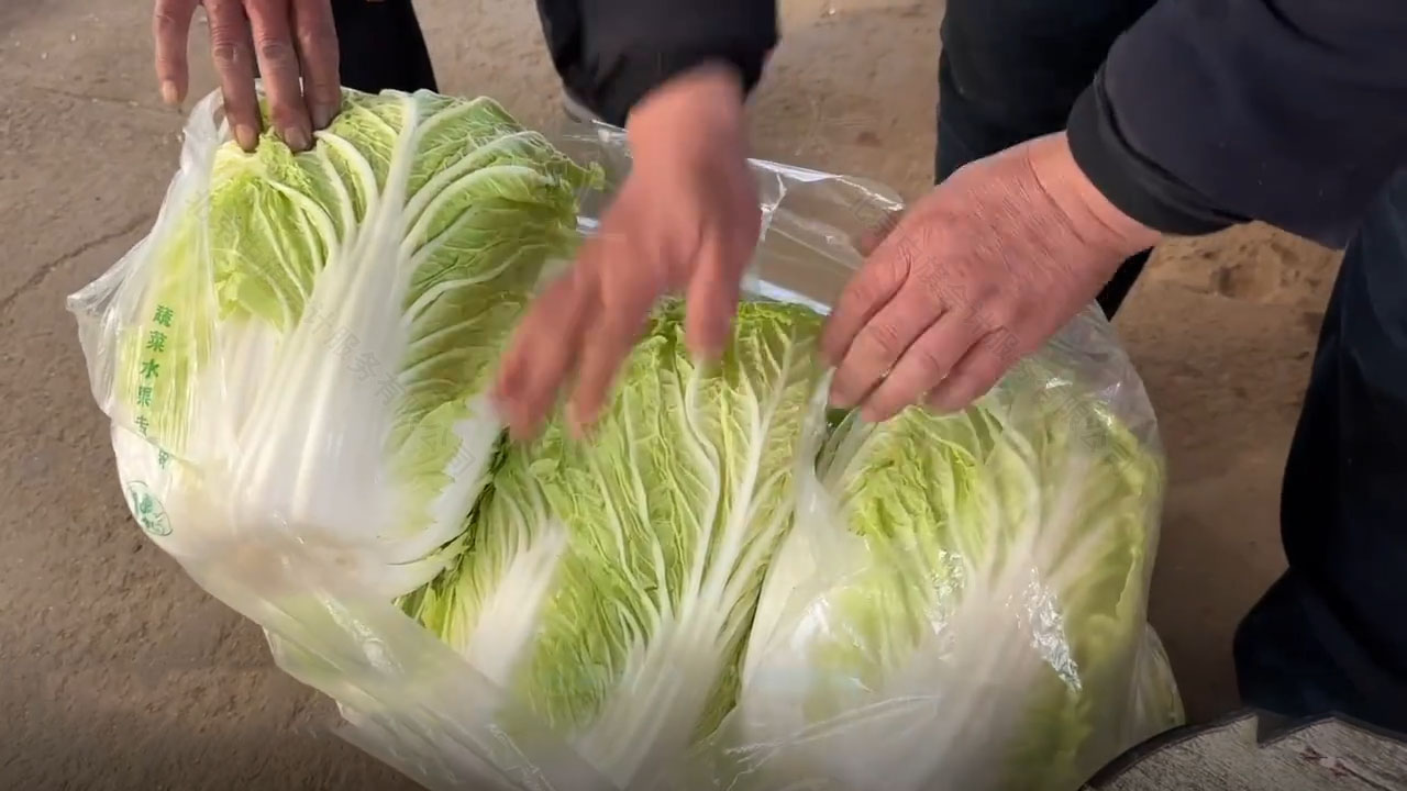 今早隔壁的劉阿姨準備的大白菜要給她的孩子送過去.jpg 今早隔壁的劉阿姨準備的大白菜要給她的孩子送過去.jpg