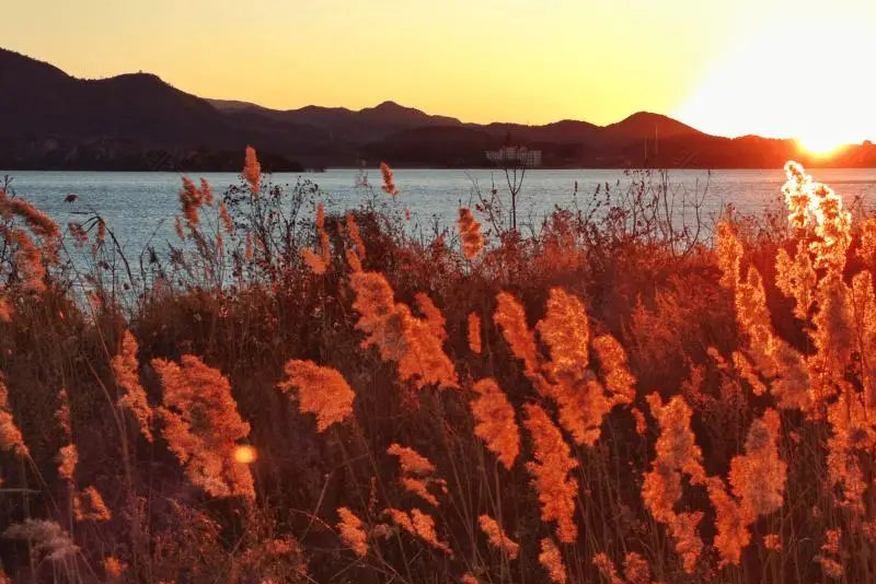 蕭瑟的冬天來啦.jpg 蕭瑟的冬天來啦.jpg