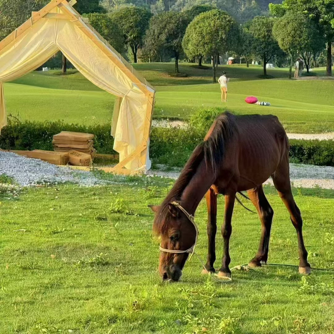 浙江旅游業(yè).jpg 浙江旅游業(yè).jpg