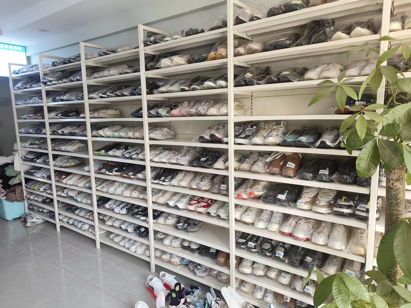 清洗鞋子 清洗鞋子