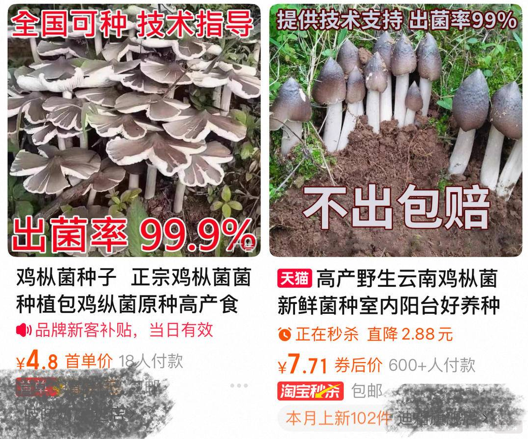 某平臺上正在銷售的種子 某平臺上正在銷售的種子