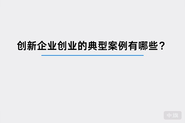 創(chuàng)新企業(yè)創(chuàng)業(yè)的典型案例 創(chuàng)新企業(yè)創(chuàng)業(yè)的典型案例
