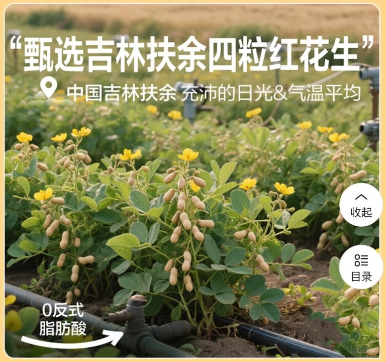 良品鋪子宣傳圖樹上花生 良品鋪子宣傳圖樹上花生