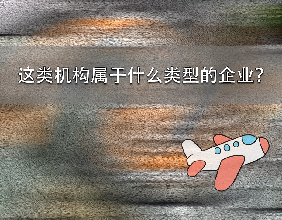 這類機(jī)構(gòu)屬于什么類型的企業(yè)？