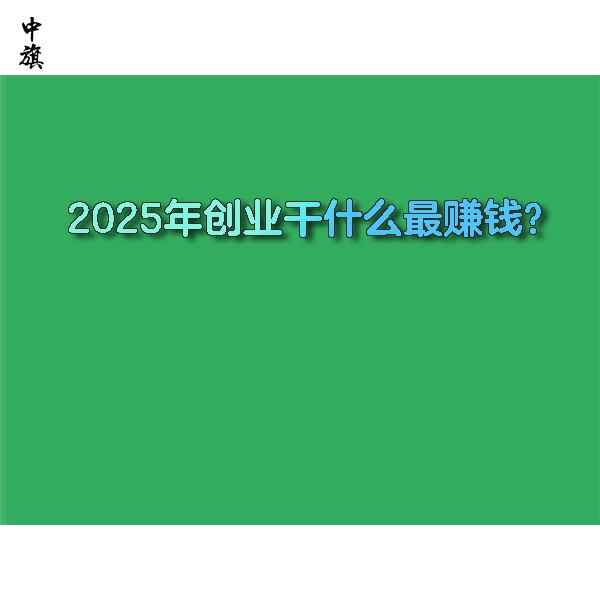 2025年創(chuàng)業(yè)干什么最賺錢(qián)？
