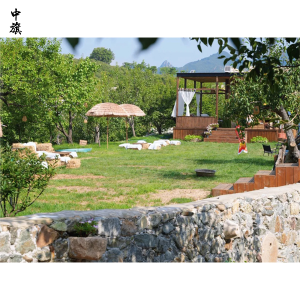 城市民宿投資與經(jīng)營實(shí)用手冊