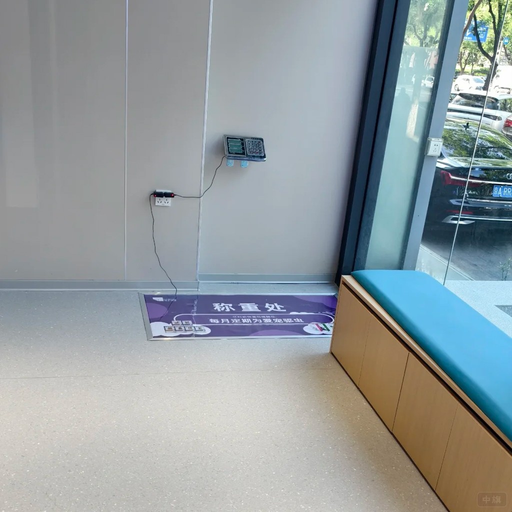 寵物醫(yī)院狗狗承重處 寵物醫(yī)院狗狗承重處